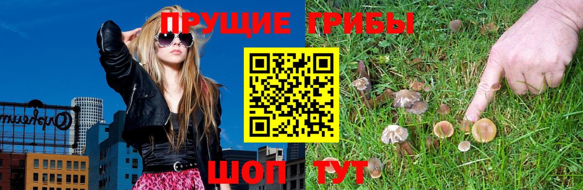Новошахтинск  Псилоцибиновые грибы Cubensis  купить  цена  Вход с VPN 